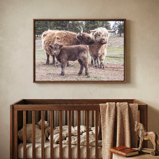 Highland Cow Nursery Wall Canvas Wall Art Teri James Photography