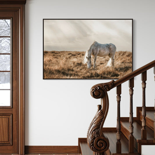 Horse Art for Western Decor Wall Art Teri James Photography
