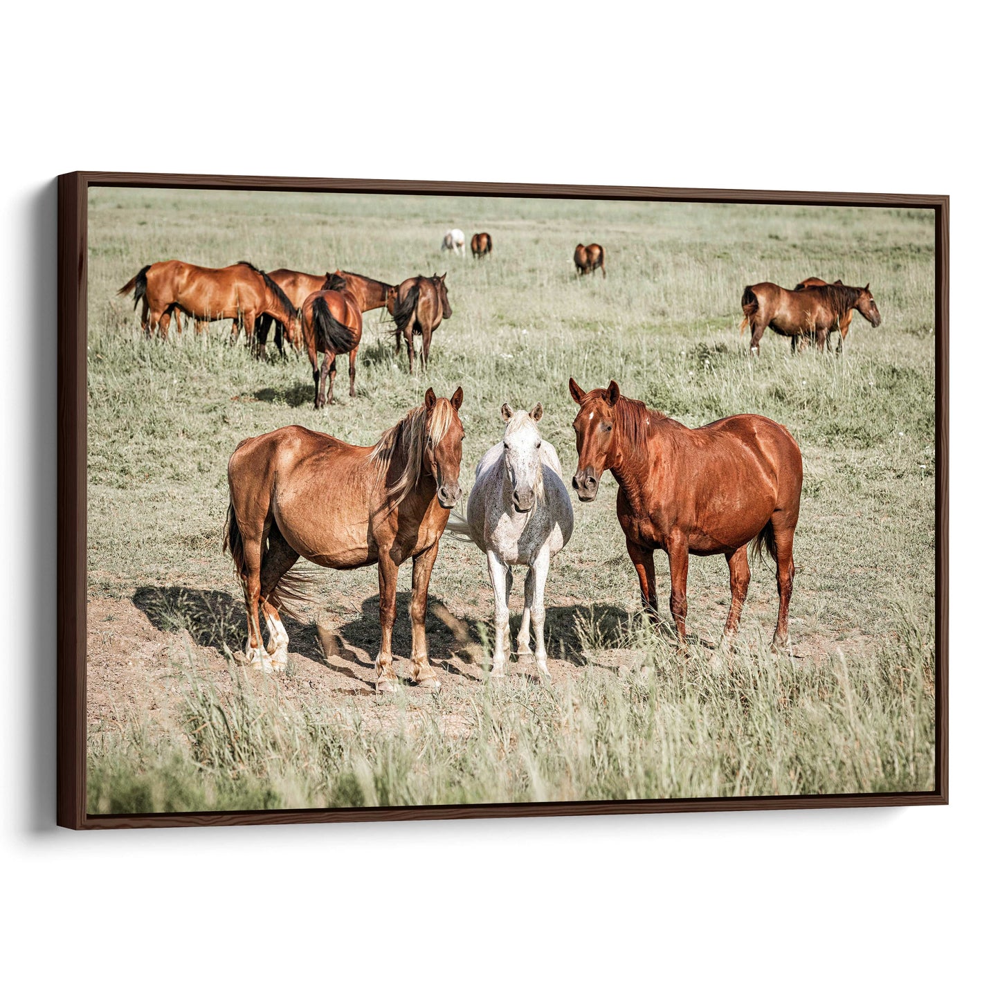Large Horse Artwork - Osage County Oklahoma Wall Art Teri James Photography