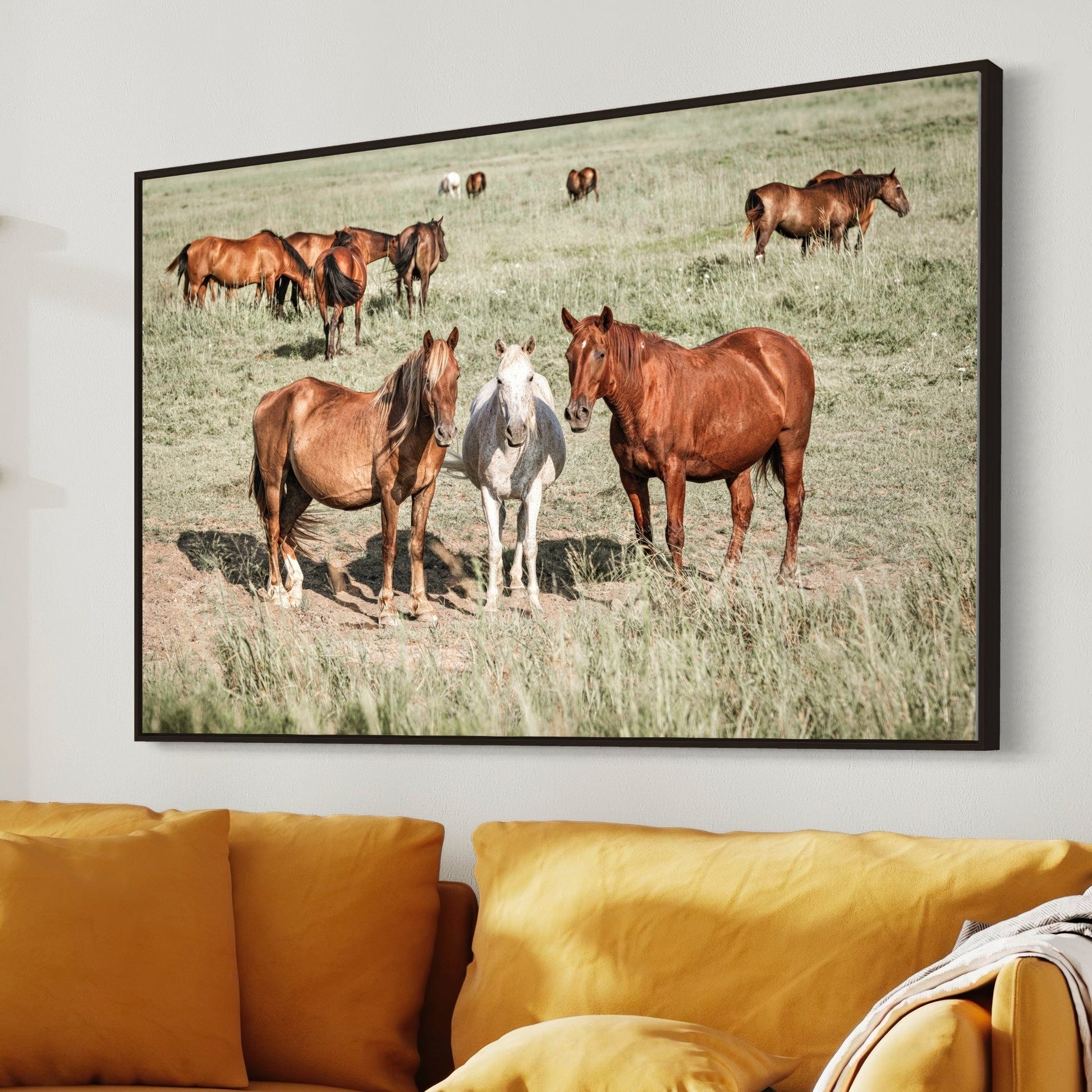 Large Horse Artwork - Osage County Oklahoma Wall Art Teri James Photography