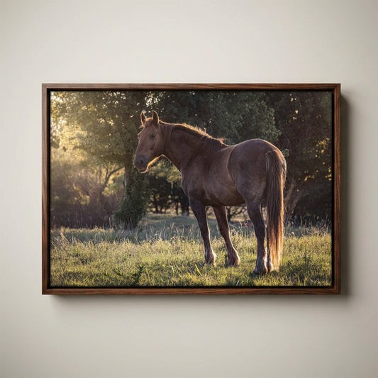 Large Western Wall Art - Horse Canvas Print