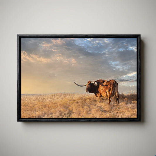 Longhorn Canvas Art - Texas Wall Decor
