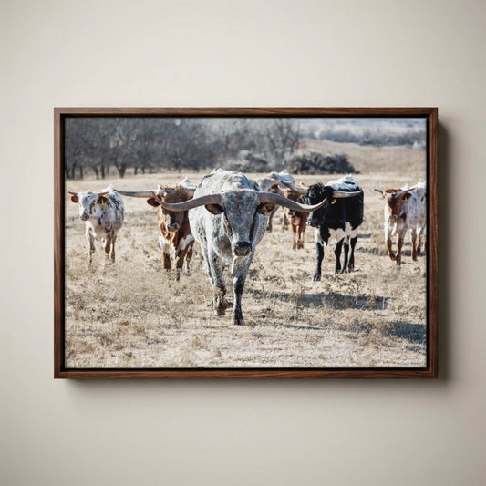 Longhorn Cattle Canvas – Texas Longhorn Art Rustic