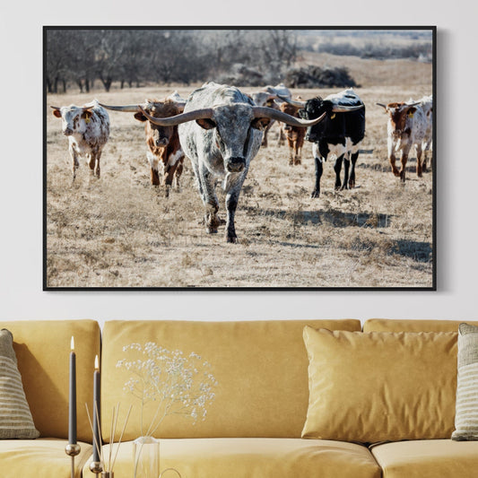 Longhorn Cattle Herd Canvas Print Wall Art Teri James Photography