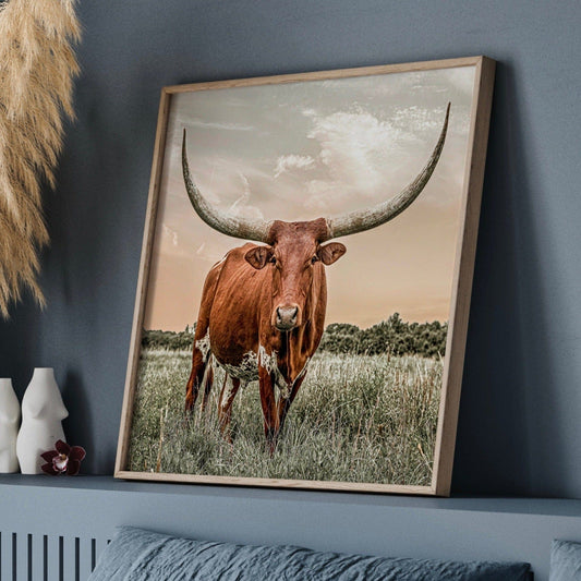 Longhorn Home Decor Artwork Wall Art Teri James Photography