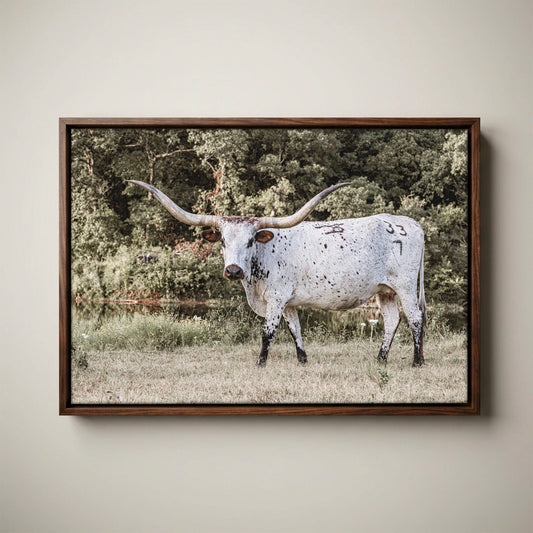 Longhorn Picture Canvas – Modern Western Decor