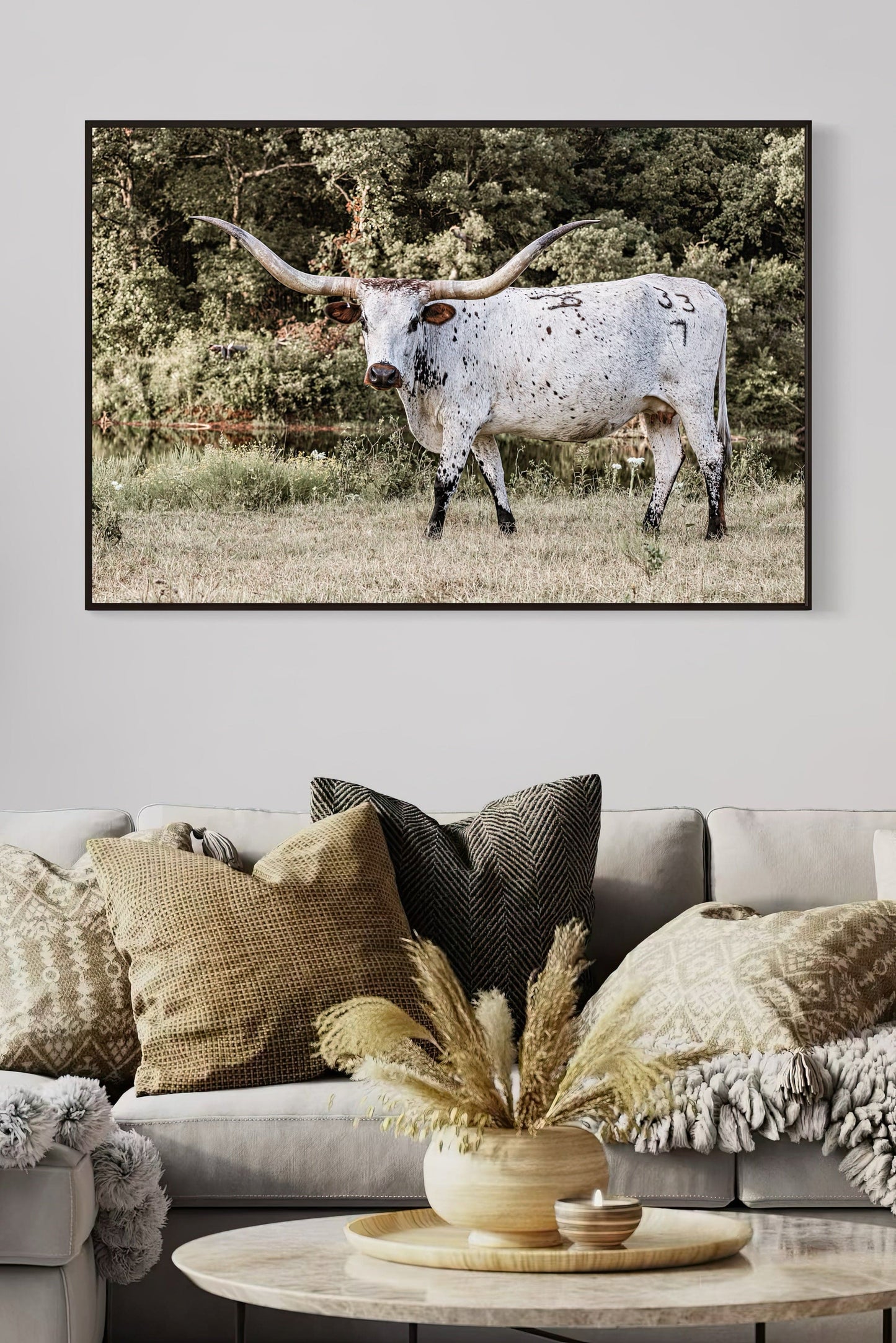 Longhorn Picture on Canvas Wall Art Teri James Photography
