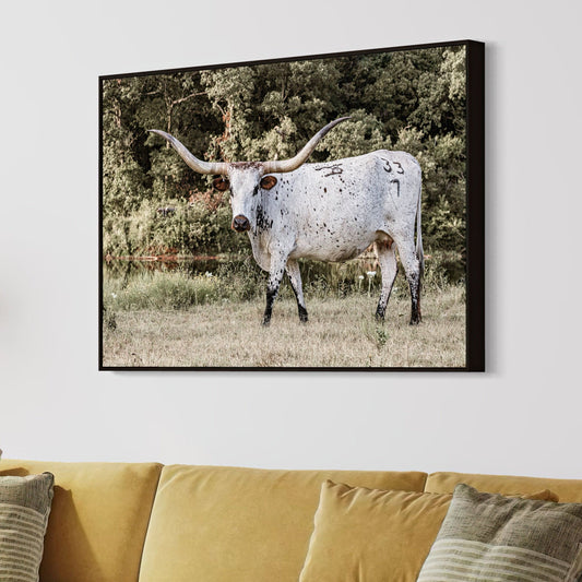 Longhorn Picture on Canvas Wall Art Teri James Photography