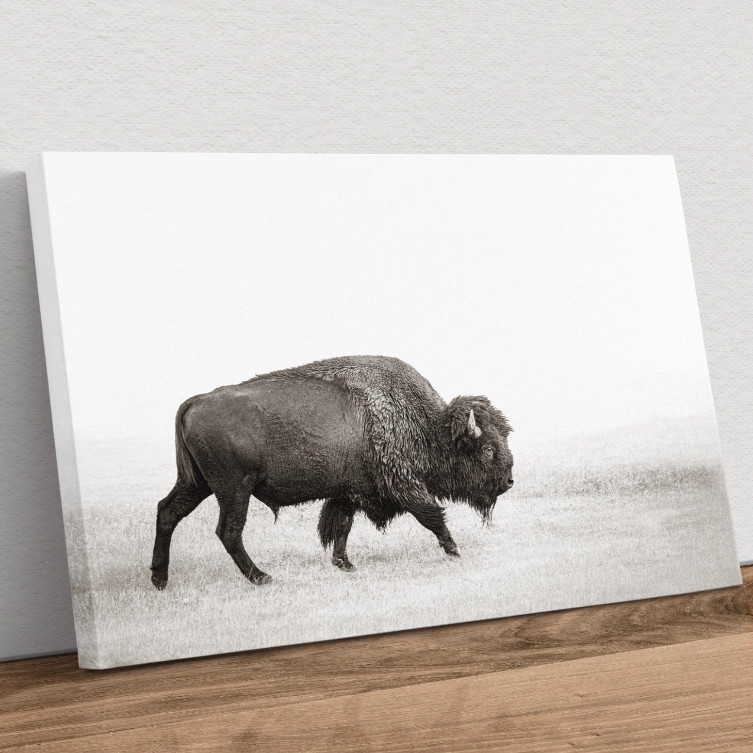 Minimalist Bison Art Canvas Canvas-Unframed / 12 x 18 Inches Wall Art Teri James Photography