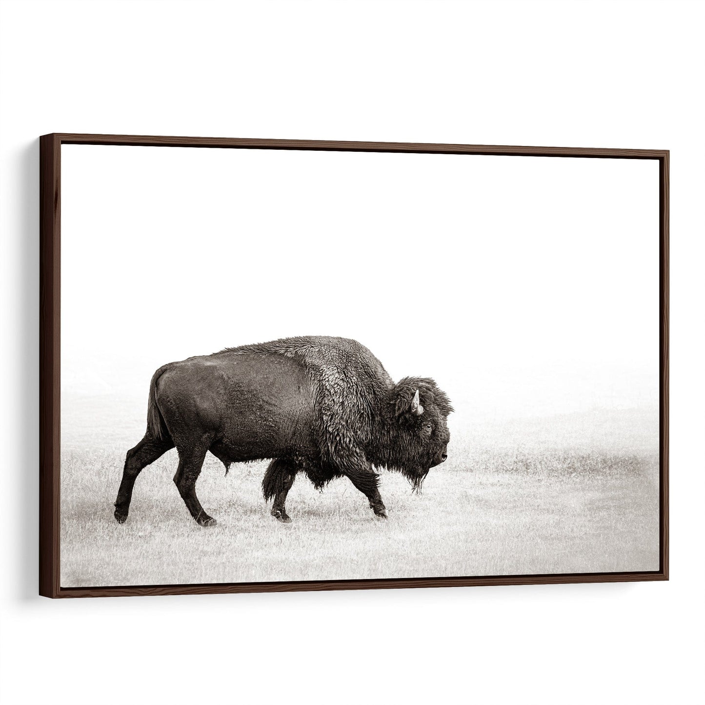 Minimalist Bison Art Canvas Canvas-Walnut Frame / 12 x 18 Inches Wall Art Teri James Photography