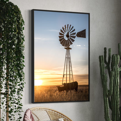 Old Windmill and Black Angus Cattle Wall Art Teri James Photography
