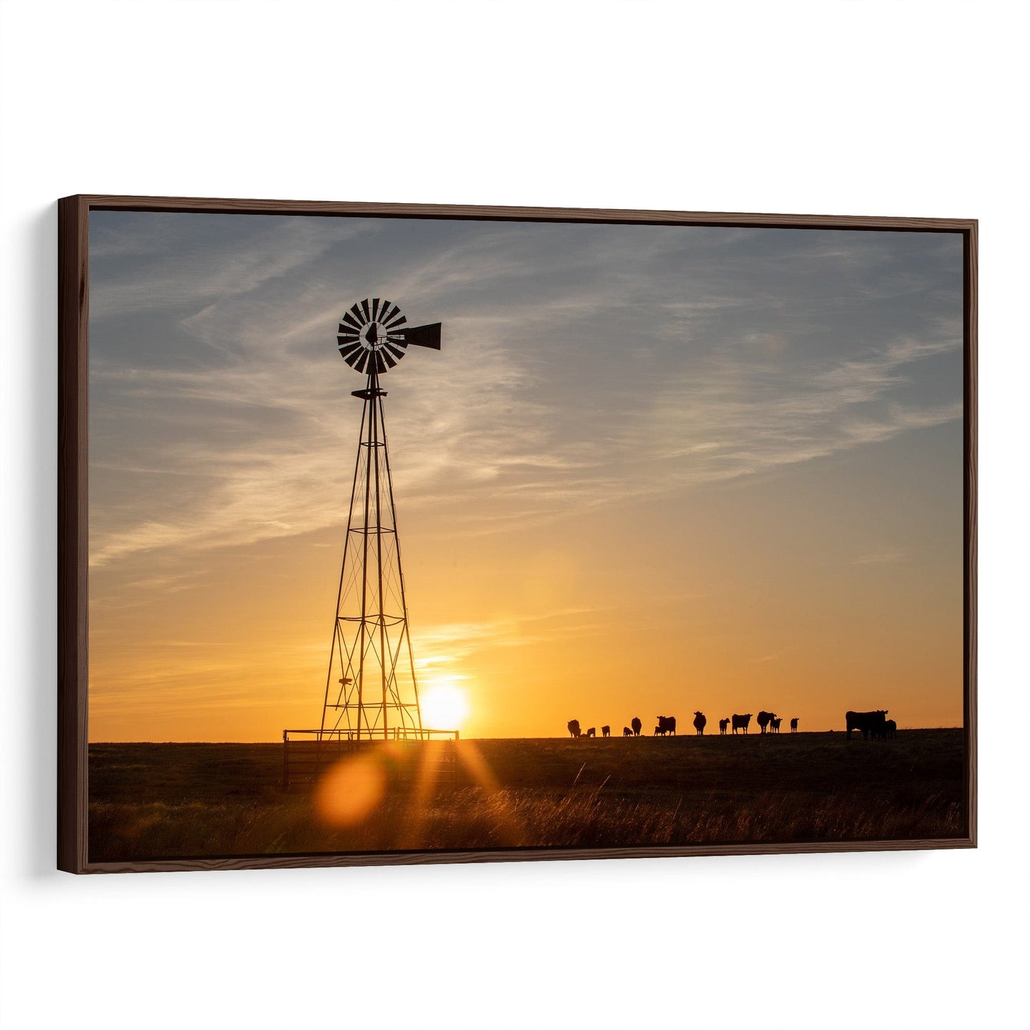Old Windmill at Sunset with Angus Cattle Canvas-Walnut Frame / 12 x 18 Inches Wall Art Teri James Photography