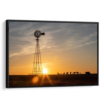 Old Windmill at Sunset with Angus Cattle Canvas-Black Frame / 12 x 18 Inches Wall Art Teri James Photography