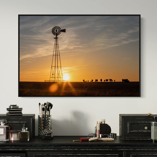 Old Windmill at Sunset with Angus Cattle Wall Art Teri James Photography