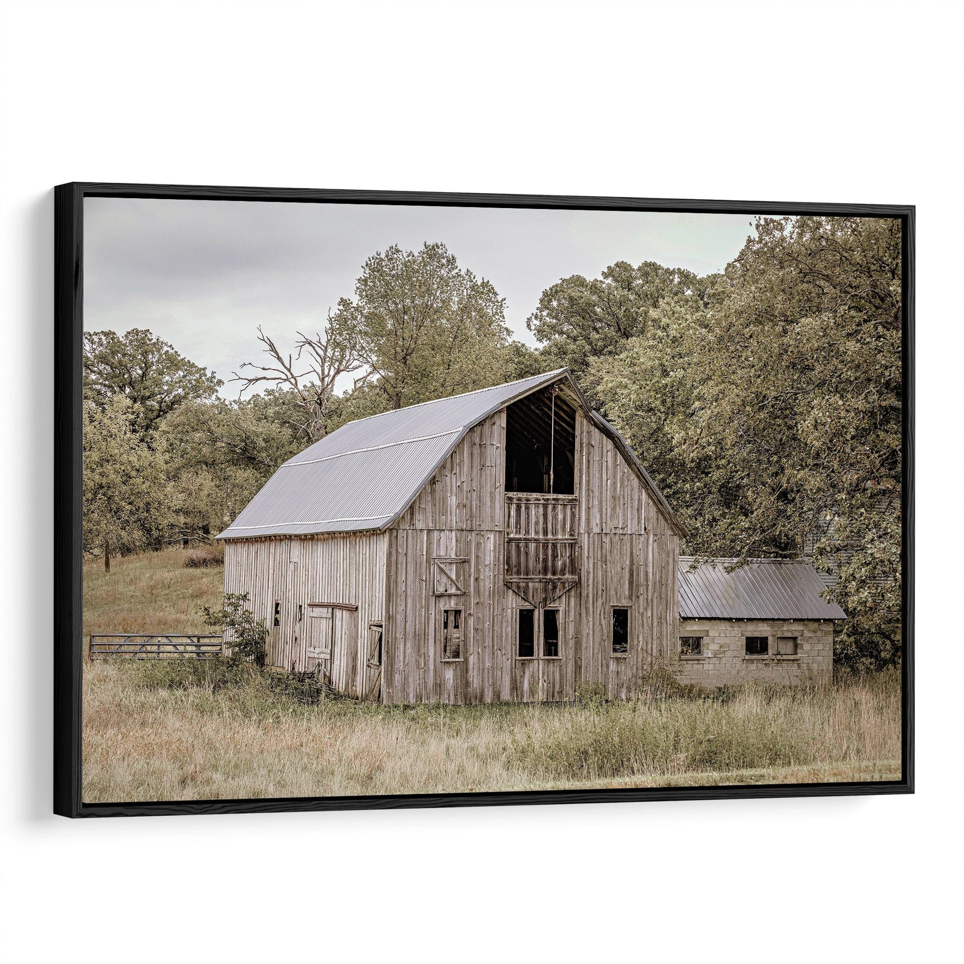 Old Wooden Barn Canvas Print Canvas-Black Frame / 12 x 18 Inches Wall Art Teri James Photography