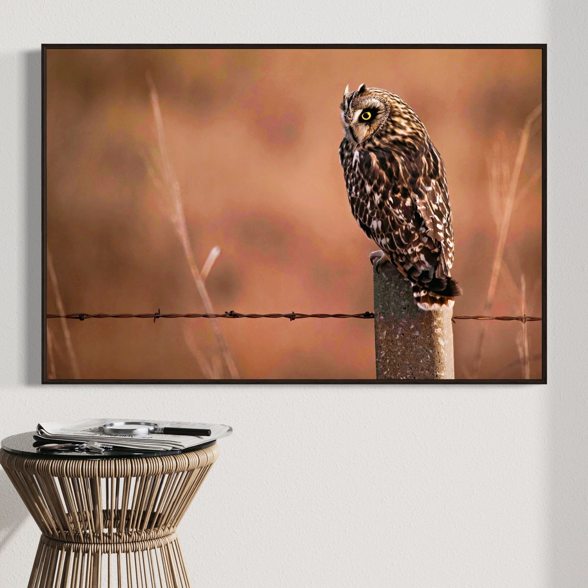 Owl Artwork Canvas, Short Eared Owl Wall Art Teri James Photography