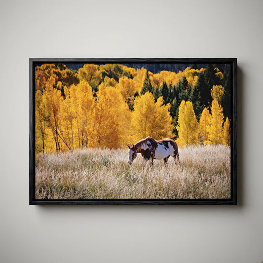Paint Horse Canvas - Western Wall Art