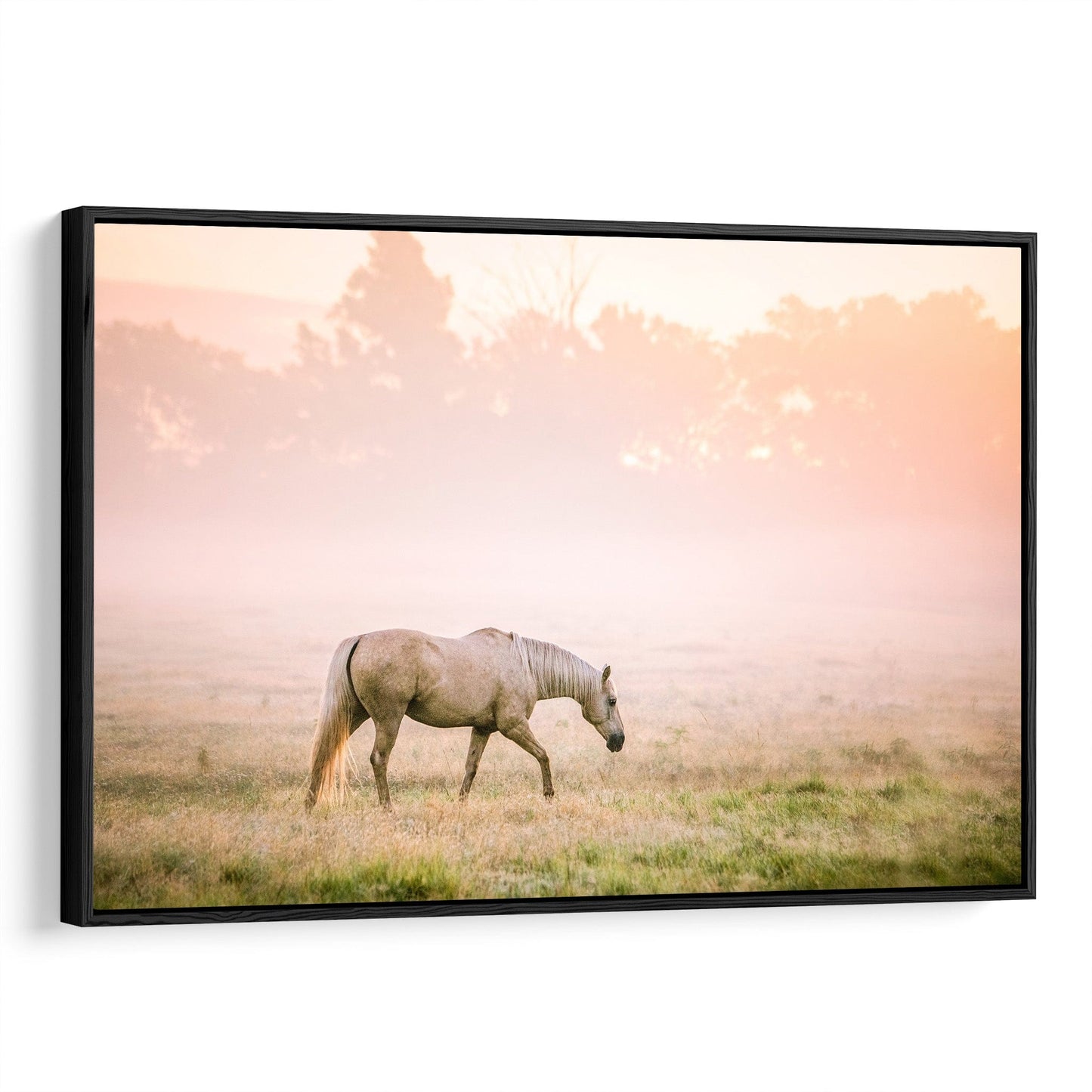 Palomino Horse Wall Art in Pastel Colors Canvas-Black Frame / 12 x 18 Inches Wall Art Teri James Photography
