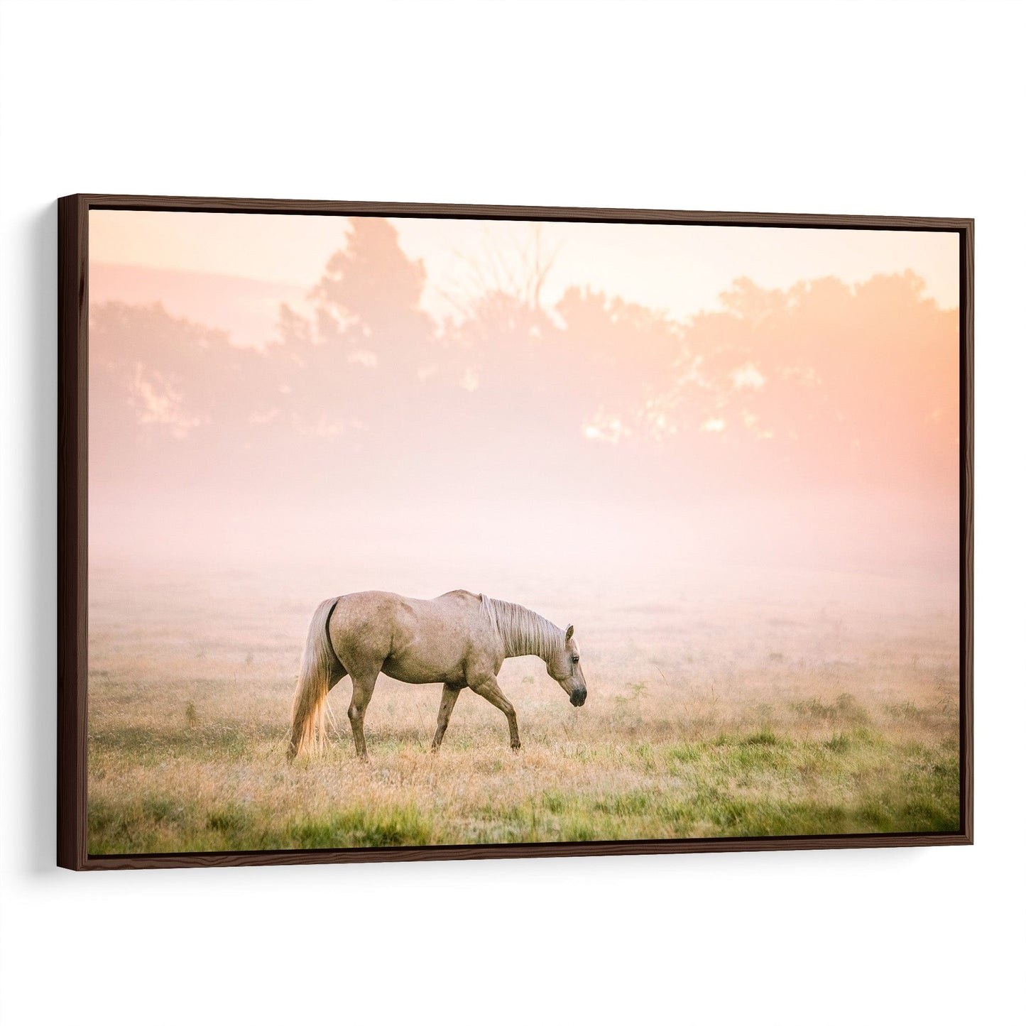 Palomino Horse Wall Art in Pastel Colors Canvas-Walnut Frame / 12 x 18 Inches Wall Art Teri James Photography
