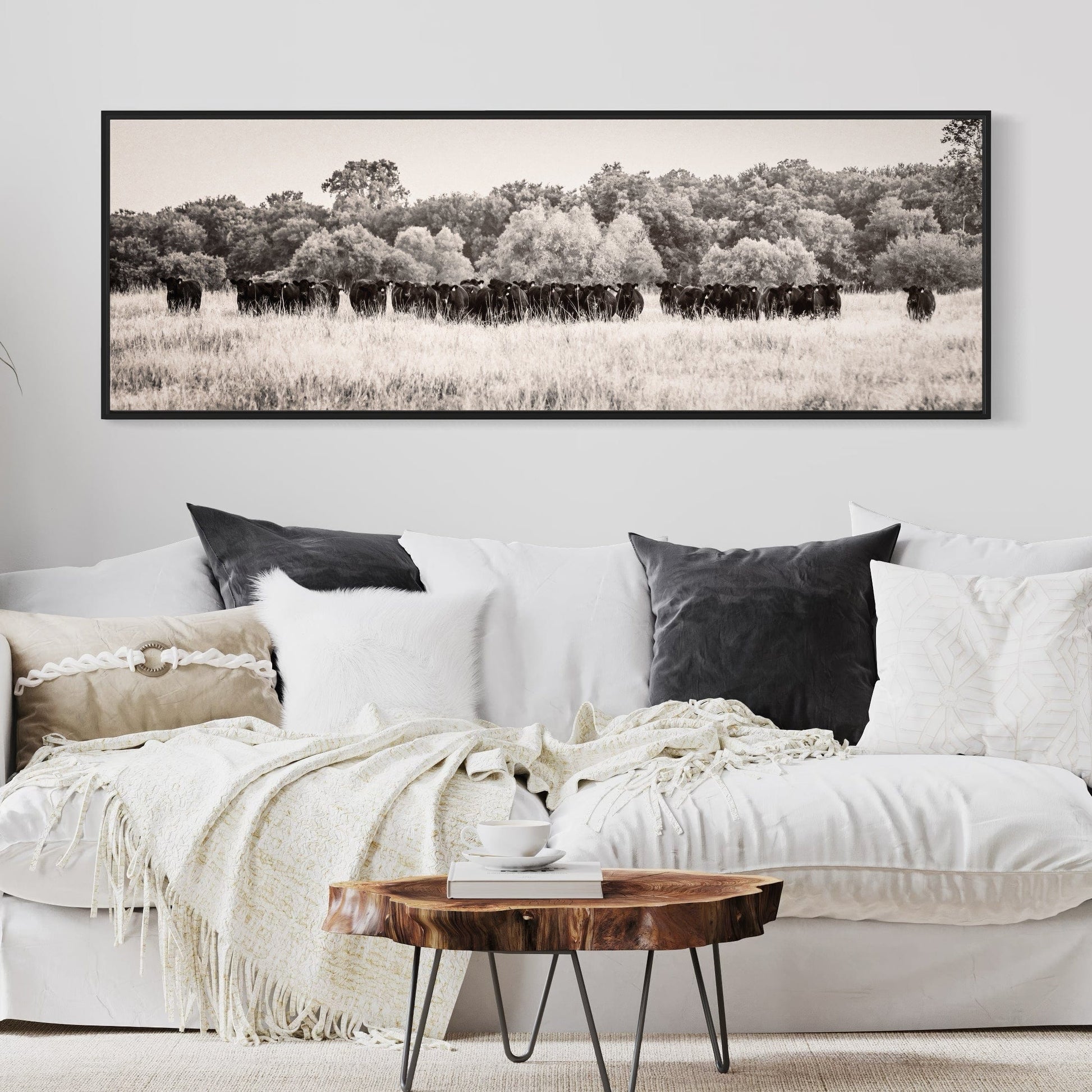 Panoramic Angus Cattle Canvas Wall Art Teri James Photography
