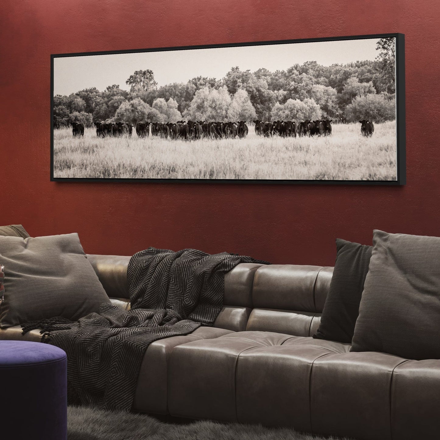 Panoramic Angus Cattle Canvas Wall Art Teri James Photography