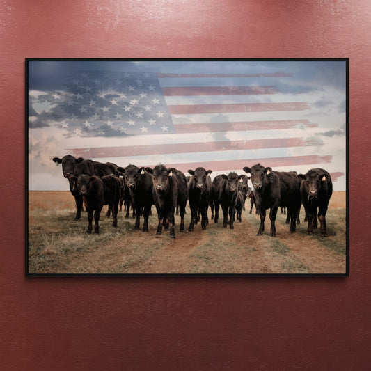 Patriotic Black Angus Cattle with American Flag Wall Art Teri James Photography