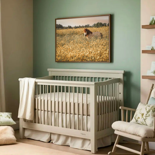 Pony Art for Kids or Nursery Wall Art Teri James Photography