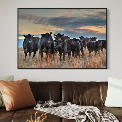 Ranch Style Home Decor Wall Art - Angus Cattle Wall Art Teri James Photography