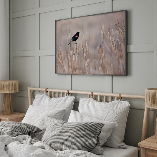 Red-Winged Blackbird on Cattails Wall Art Teri James Photography