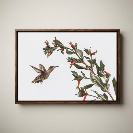 Ruby Throated Hummingbird Art – Wildlife Photo Decor