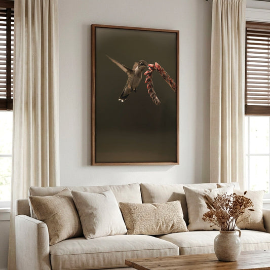 Ruby Throated Hummingbird Artwork - Nature Canvas Print With Floral Bird Design Wall Art Teri James Photography