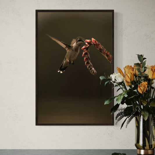 Ruby Throated Hummingbird Artwork Wall Art Teri James Photography
