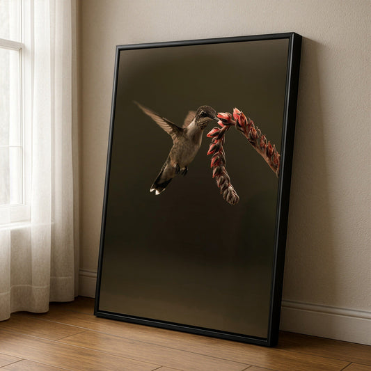 Ruby Throated Hummingbird Artwork Wall Art Teri James Photography