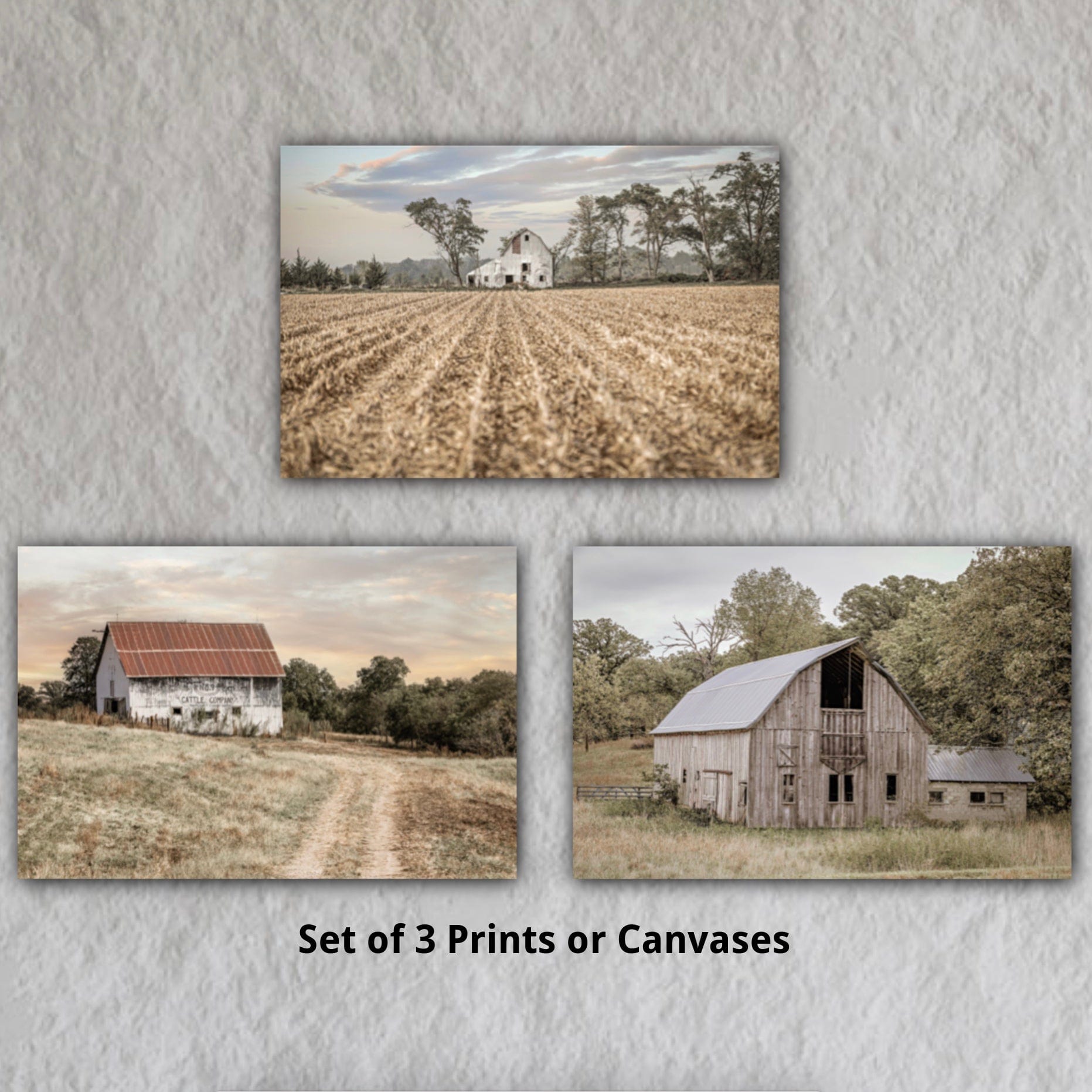 Set of 3 Old Barn Prints Wall Art Teri James Photography
