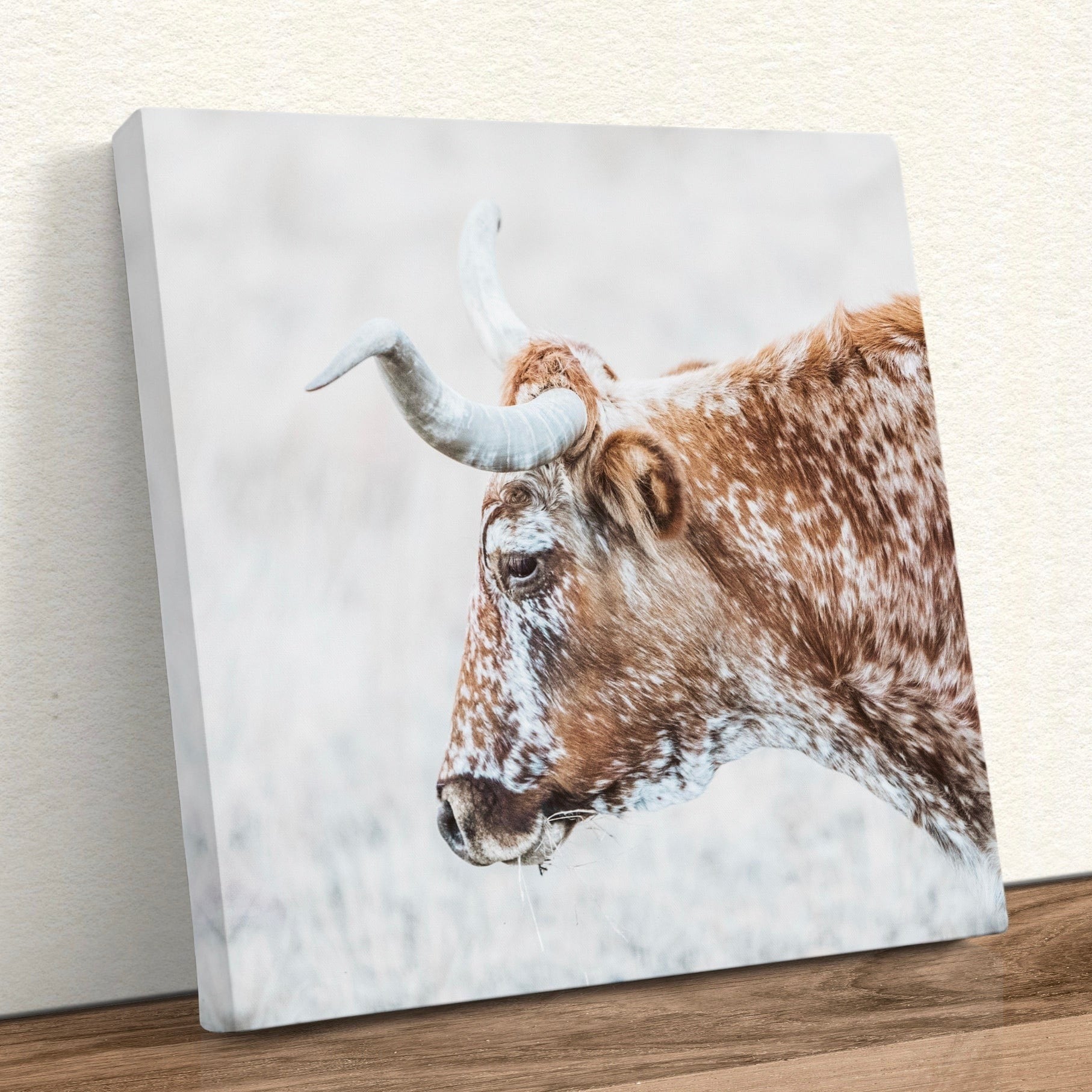 Texas Longhorn Cattle Art Canvas-Unframed / 16 x 16 Inches Wall Art Teri James Photography