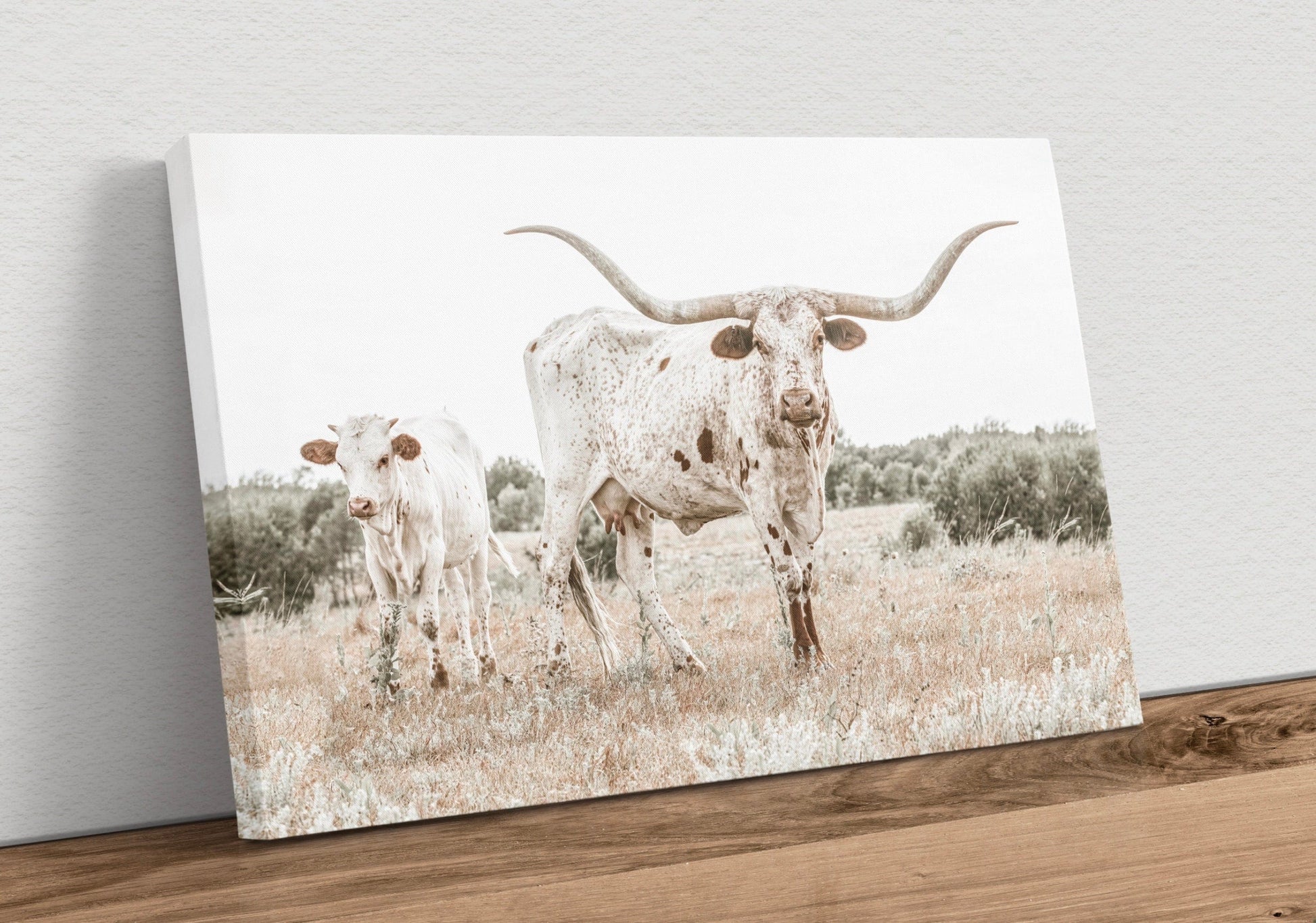 Texas Longhorn Cow & Calf Wall Art Wall Art Teri James Photography