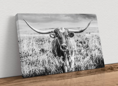 Texas Longhorn Cow Canvas Black and White Canvas-Unframed / 12 x 18 Inches Wall Art Teri James Photography