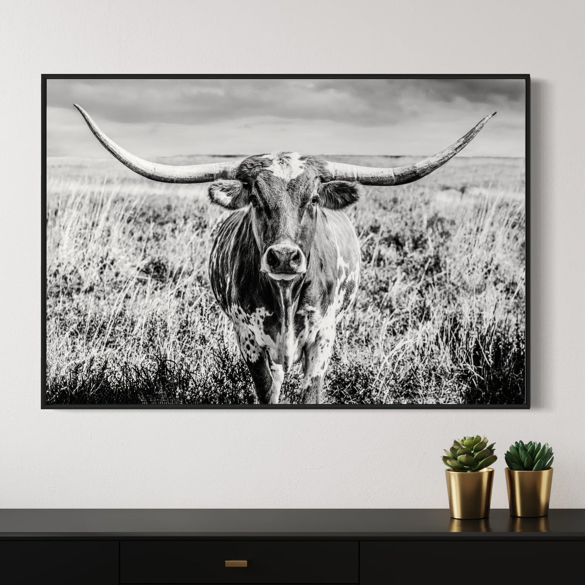 Texas Longhorn Cow Canvas Black and White Wall Art Teri James Photography