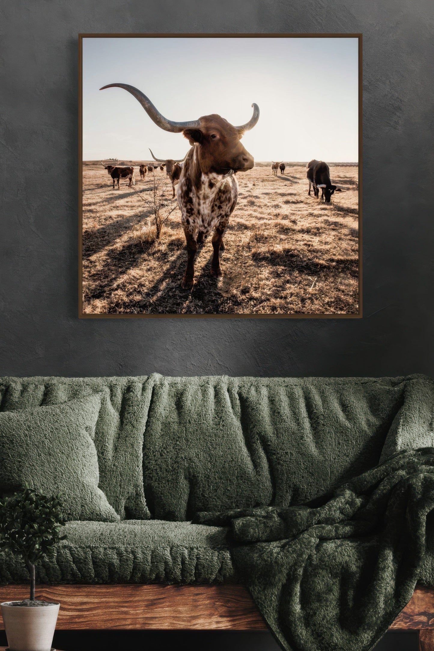 Texas Longhorn Canvas - Square Canvas Art