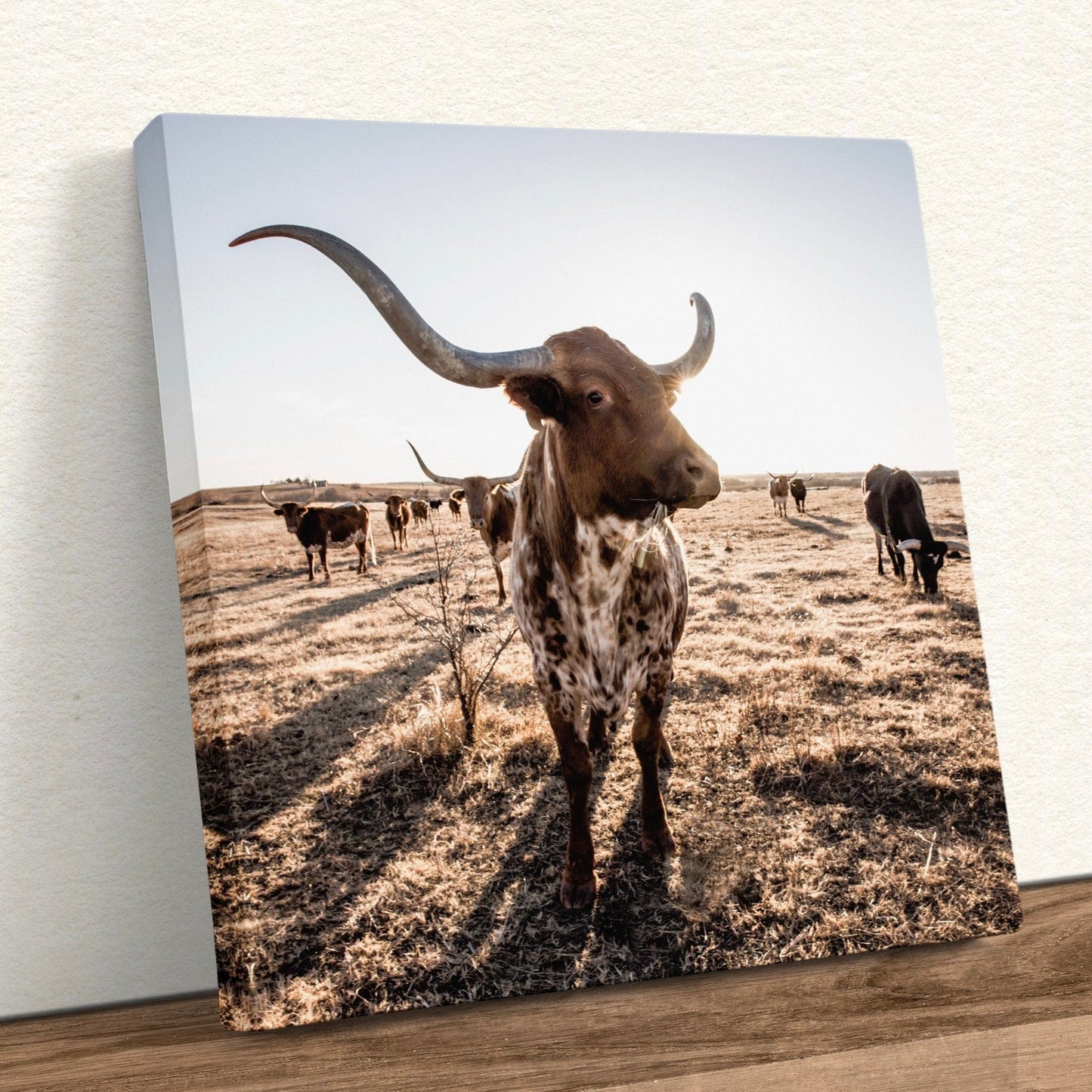 Texas Longhorn Square Canvas Print Canvas-Unframed / 16 x 16 Inches Wall Art Teri James Photography