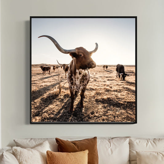 Texas Longhorn Square Canvas Print Wall Art Teri James Photography