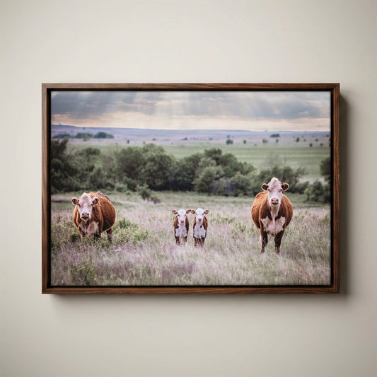 Twin Nursery Decor - Hereford Cattle