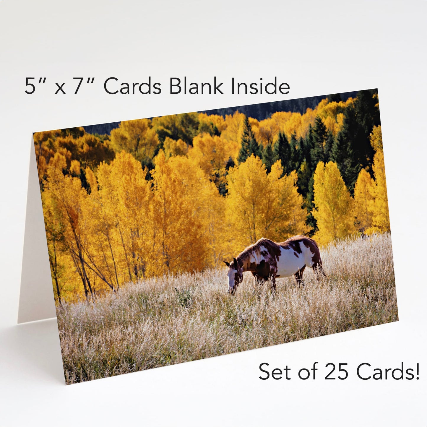 Western Greeting Cards - Rustic Note Cards Paint Horse and Yellow Aspen Trees Greeting cards Teri James Photography