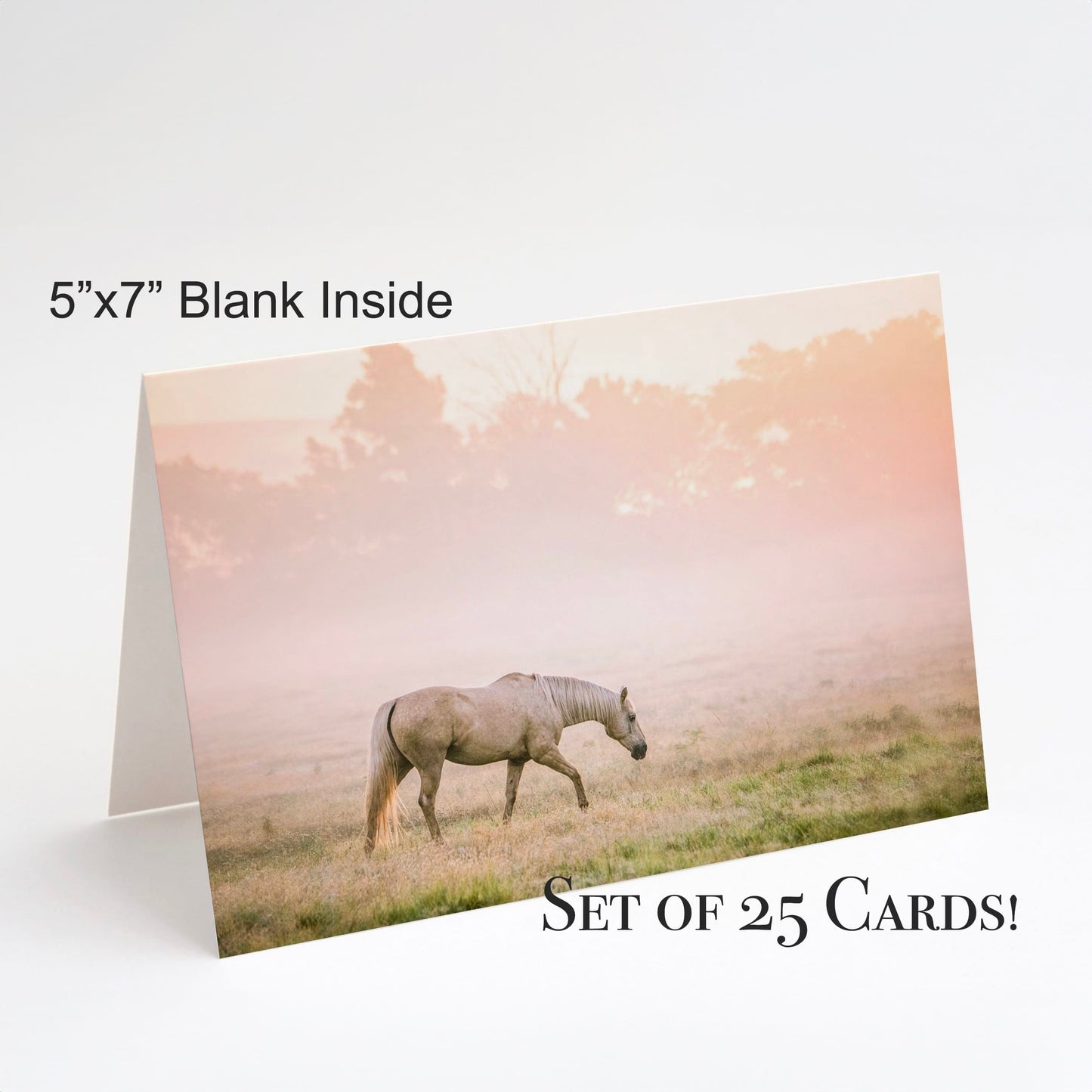 Western Greeting Cards - Rustic Note Cards Palomino Horse / Pink Sunrise Greeting cards Teri James Photography