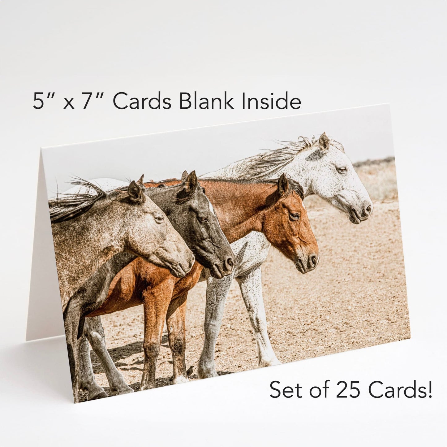 Western Greeting Cards - Rustic Note Cards Four Horses Greeting cards Teri James Photography