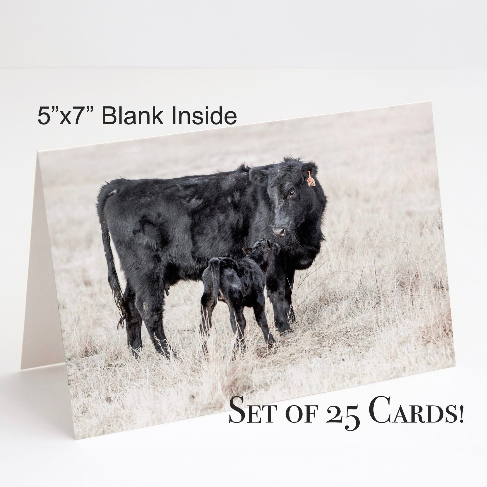 Western Greeting Cards - Rustic Note Cards Black Angus Cow with Newborn Calf Greeting cards Teri James Photography