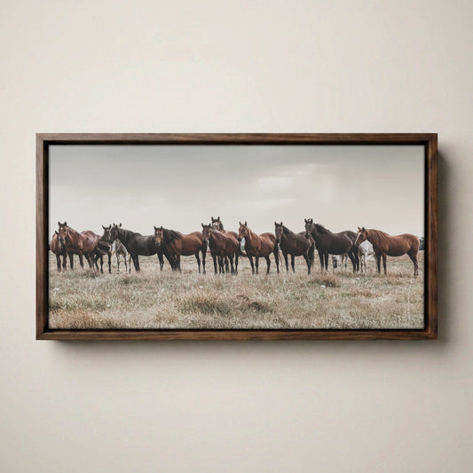 Western Panorama Canvas Print – Wild Horse Wall Art