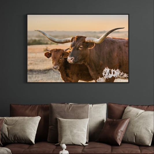 Western Room Decor - Longhorn Cattle Wall Art Teri James Photography