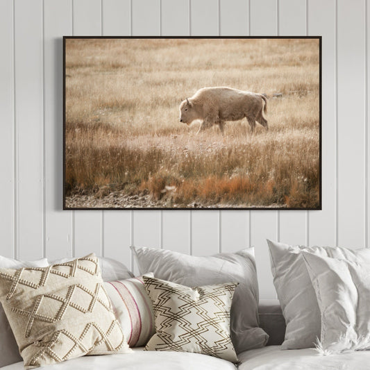 White Bison Canvas Print Wall Art Teri James Photography