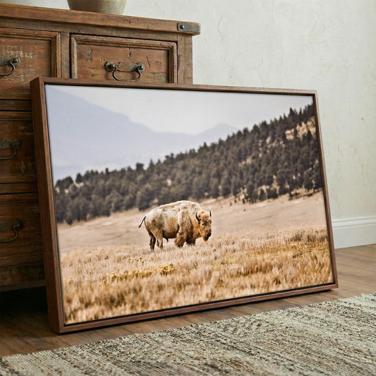 White Buffalo Art Wall Art Teri James Photography